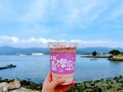 -南澳岛打卡果汁冰公司
