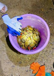 -万达宝贝王(青岛路万达广场店)