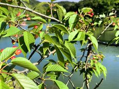 -南山风景名胜区