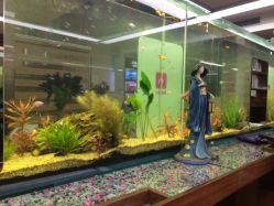 点击看大图 小左美发(南京东路店)-小左美发