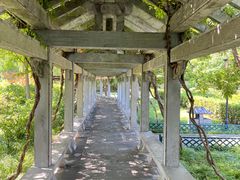 -青州古城