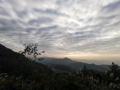 -武陵山森林公园