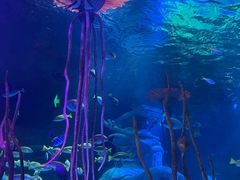 -沈阳海洋探索中心