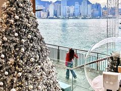 -海港城