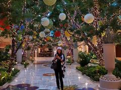 -拉斯维加斯永利酒店