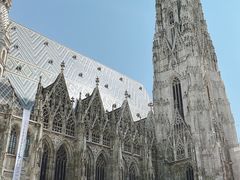 -斯蒂芬主教座堂(Stephansdom)