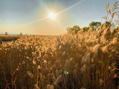 -野鸭湖国家湿地公园