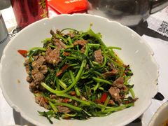 -壹盏灯(惠农店)