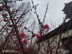 -吴兴寺