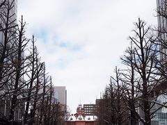 -北海道厅旧本厅舍(旧本庁舎)