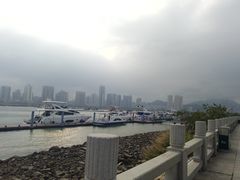 -野狸岛