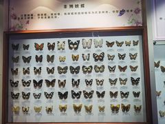 -吉林省自然博物馆