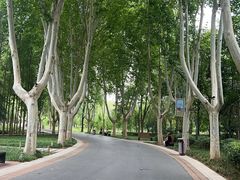 -郑州植物园
