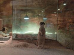 -酷嗒动物文化乐园(cutezoo西溪乐天城店)