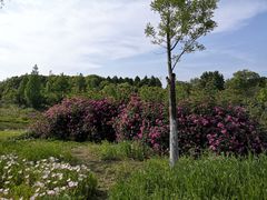 -尚贤河湿地