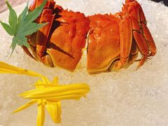 六月黄-蟹榭·本帮江浙菜·蟹宴(五角场合生汇商场店)