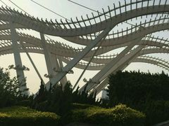 -海河外滩公园