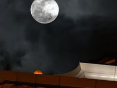 -澳门十六浦索菲特大酒店