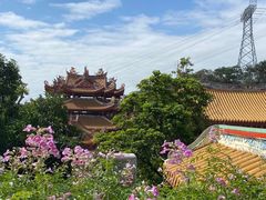 -仙岳公园