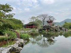 -顺峰山公园