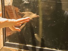 -呼吸沉浸式剧场(甘露园店)
