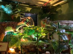 -恐龙探索乐园(磁器口店)