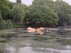 -西湖天地