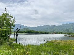 -大九湖