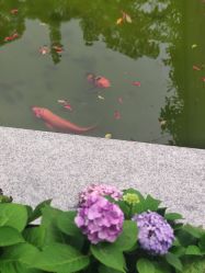 -莲生母婴月子中心(清水河公园店)