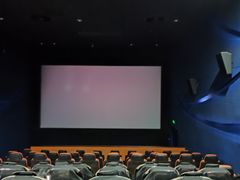 -天幕新彩云国际影城(激光巨幕店)