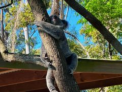 -费瑟代尔野生动物园