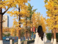 -重庆市江北嘴中央商务区中央公园