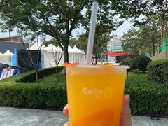 -CoCo都可(文星广场店)