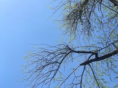 -平安桥天主教堂