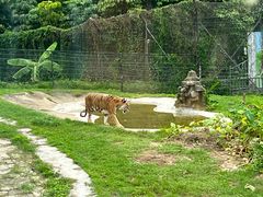 -深圳野生动物园