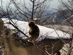 -崂山巨峰游览区