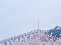 -武汉大学-樱园
