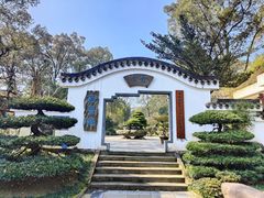 -南山植物园