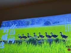 -杨厨的田园饭店(长城路店)