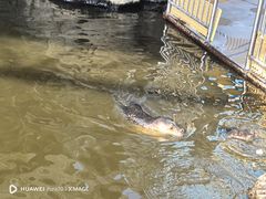 -华夏文旅海洋公园