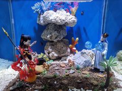 -上海海昌海洋公园