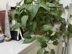 -微笑时刻照相馆·企业合影·商务外拍(北京五道口店)