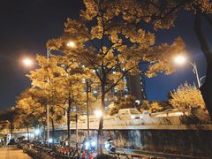 -杭州城北体育公园