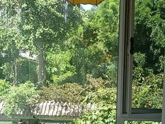 -慢丽江·云南野生菌土鸡锅(付家庄店)
