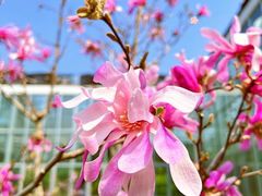 -国家植物园南园