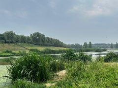 -洨河生态公园