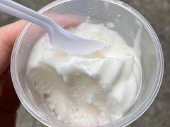 -洪馨椰子