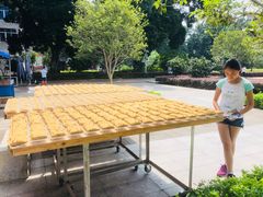 -西关竹园(荔枝湾店)