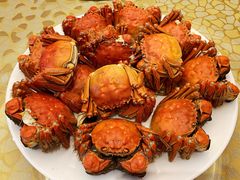 清蒸大闸蟹-王宝和酒家(黄浦店)