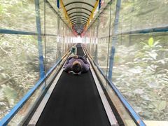 -七仙岭温泉国家森林公园